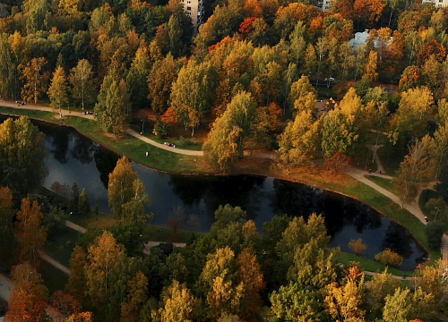 Прекрасный вид на воду и зелень
