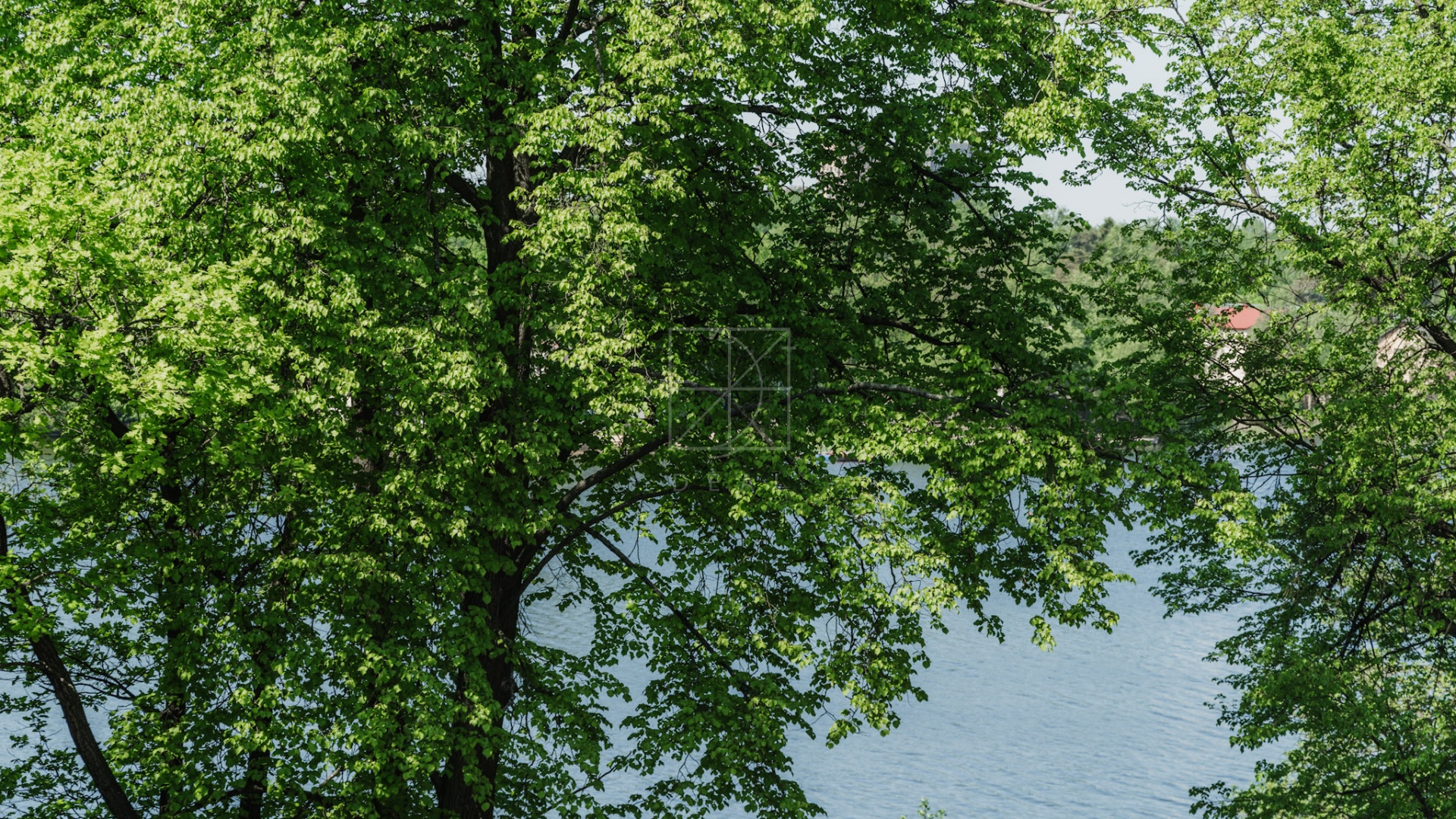 Вид на Суздальское озеро